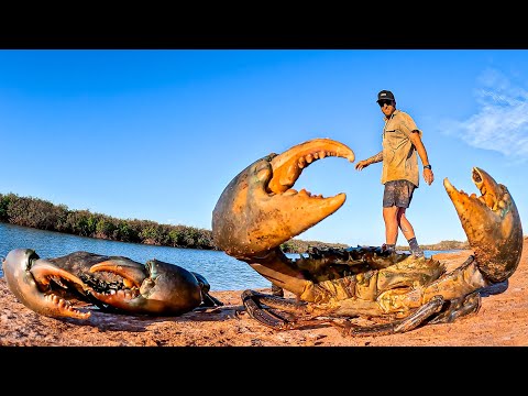 GIANT MUD CRAB CATCH AND COOK - NO FOOD