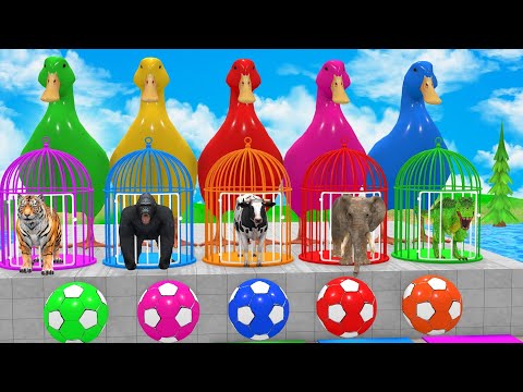 Long Slide Game with Cow, Elephant, Gorilla, Hippo & Tiger 🛝 | Funny 3D Animal Game