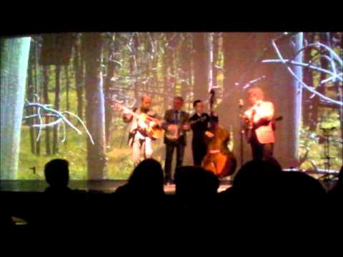 Heavy Traffic Ahead - BLUEDUST