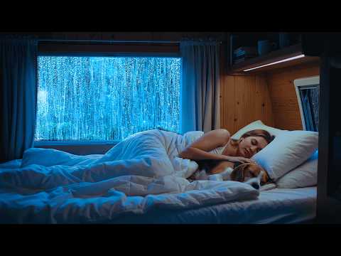 Overcome Sleeplessness 🌙 Heavy Rain & Thunder Surrounding a Warm Car in the Rainforest