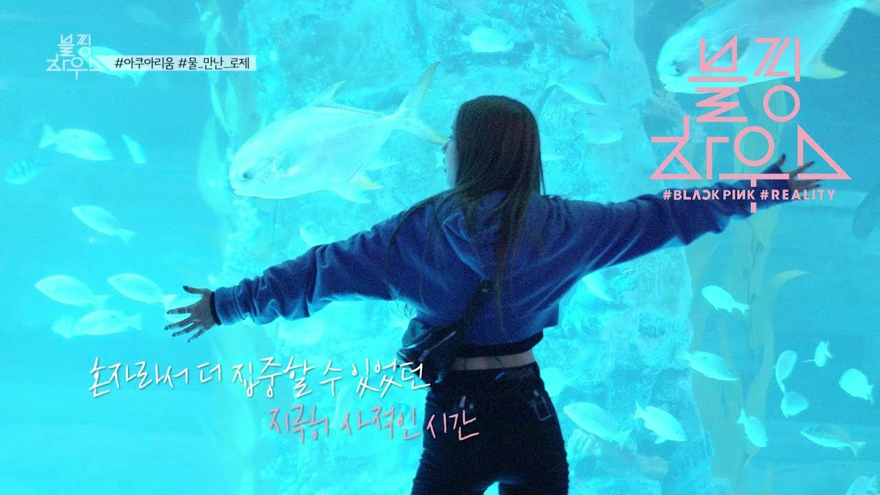 BLACKPINK - ‘블핑하우스 (BLACKPINK HOUSE)’ EP.8-5