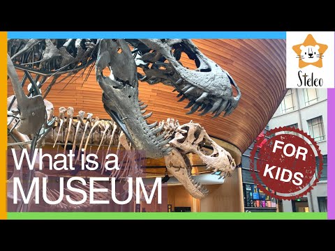 WHAT IS A MUSEUM | Learn about museums | Types of museums | For Kids