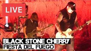 Black Stone Cherry - Fiesta Del Fuego Live in [HD] @ SSE Wembley Arena - London 2014
