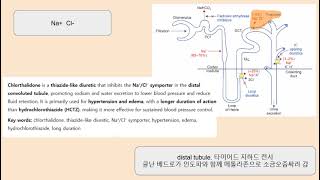 chlorthalidone, thiazide like diuretic, Na⁺Cl⁻ symporter, hypertension, edema, hydrochlorothiazide,
