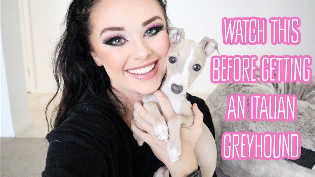 YouTube video preview