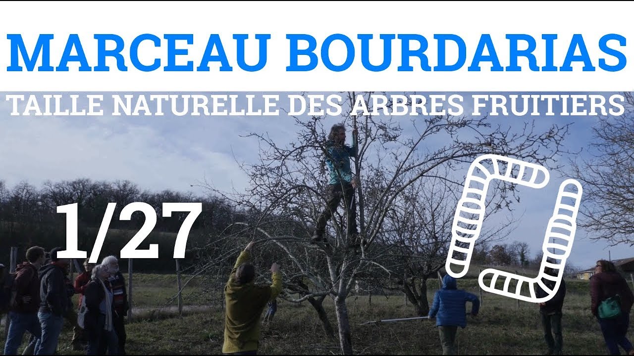 1/27 - M.BOURDARIAS - Taille Naturelle des Arbres Fruitiers - Introduction
