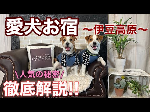 YouTube動画を再生