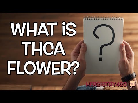 What Is THCA Flower? 2 Bay Smokes Strains Reviewed