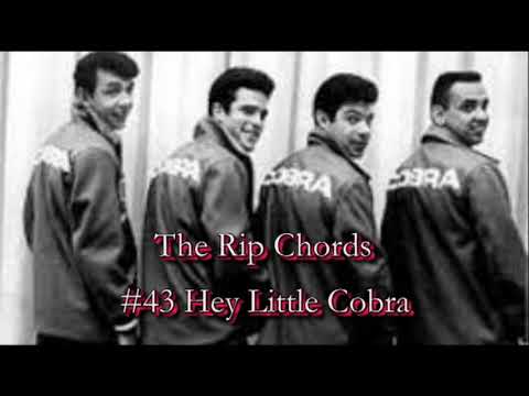 The Rip Chords   Hey Little Cobra