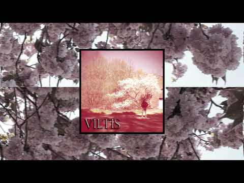 BTH - Viltis feat. Auroch (Prod. by Eric Godlow)