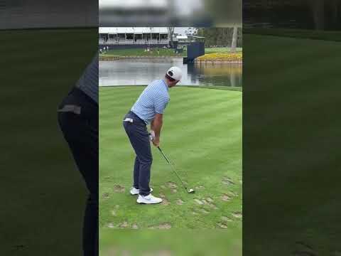 Never forget this Rory Mcllroy moment 😂