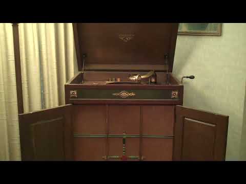 COON-SANDERS ORIGINAL NIGHTHAWK ORCH. -  FLAMIN' MAMIE - ROARING 20's VICTROLA 8-9