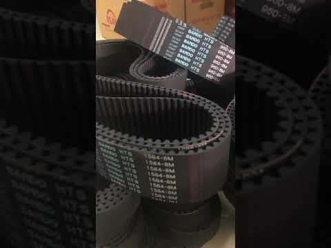 Dây curoa BANDO 8M, 14M, S8M, S14M các loại