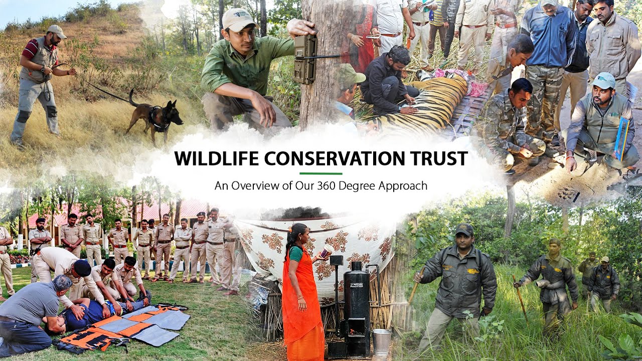 Wildlife Conservation Trust – An Overview of Our 360 Degree Approach