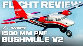 AVIOS (PNF) BushMule V2 Twin-Motor Sports/STOL Airplane 1500mm (59