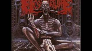 FleshTorture - The Delicious Flavor Of The Rotting  (The Stench Of Humanity 2011)