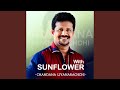 Mahada Gangana Thale Sunflower