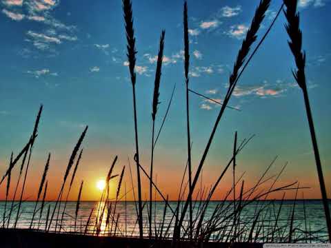 Cadatta - Never The Less