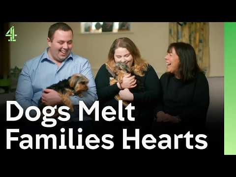 Dogs Melting Families Hearts | The Dog House 🐶