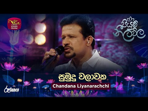 Sumudu Walawaka | සුමුදු වලාවක | Chandana Liyanarachchi | Piyum Neela Vila | Roo Tunes