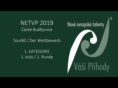 NETVP 2019 – Soutěž - 1. KATEGORIE