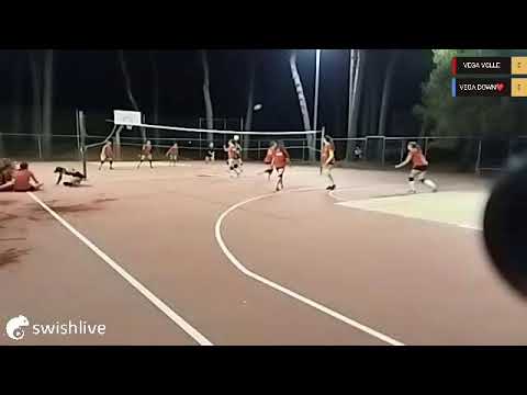 Basato in diretta sull'app Swish Live VEGA VOLLE VS VEGA DOWN❤