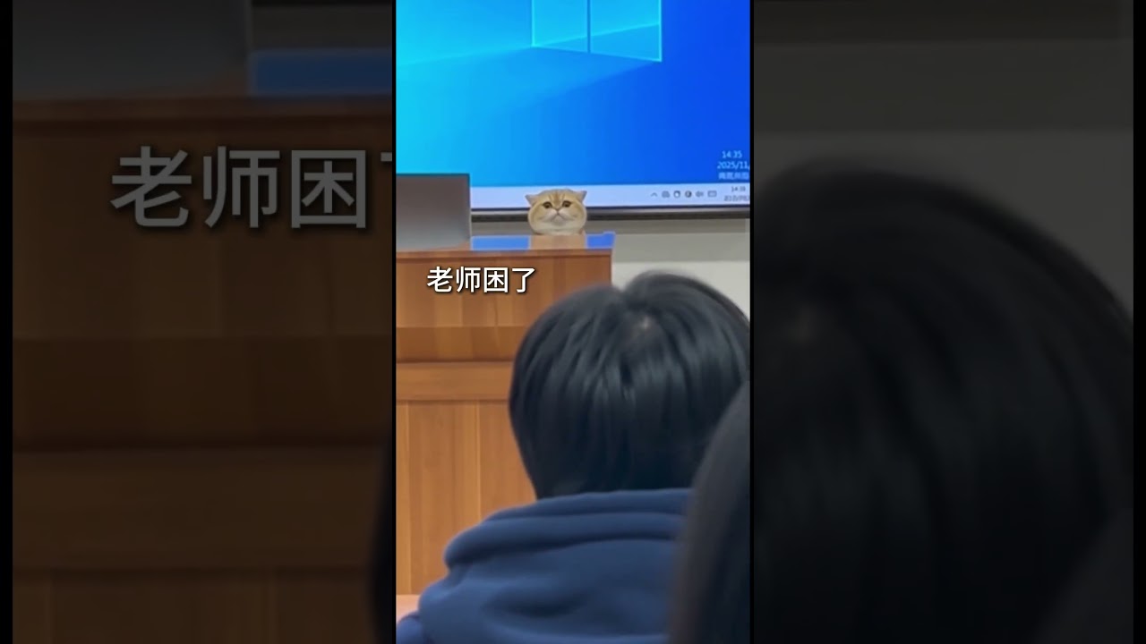 83bc6c48 99dc 4018 8f28 f63ccbc5906b