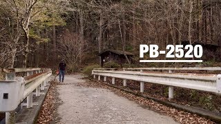Download the video "ECHO Power Blower PB-2520 - Blows the Leaves away - an Overview"