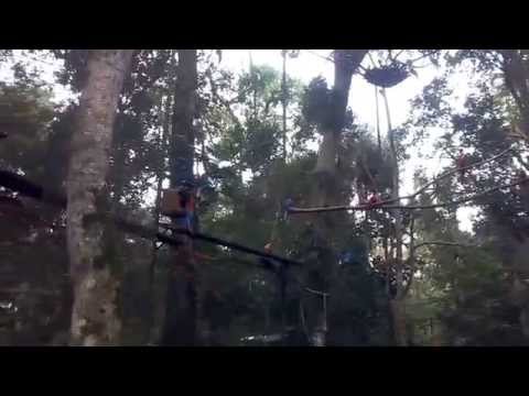 EN LA JAULA DE LOS GUACAMAYOS...