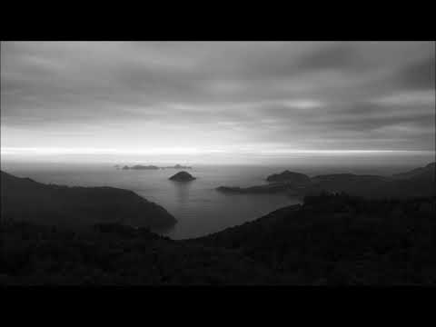 Rabbitmusic - rabbit - below and above