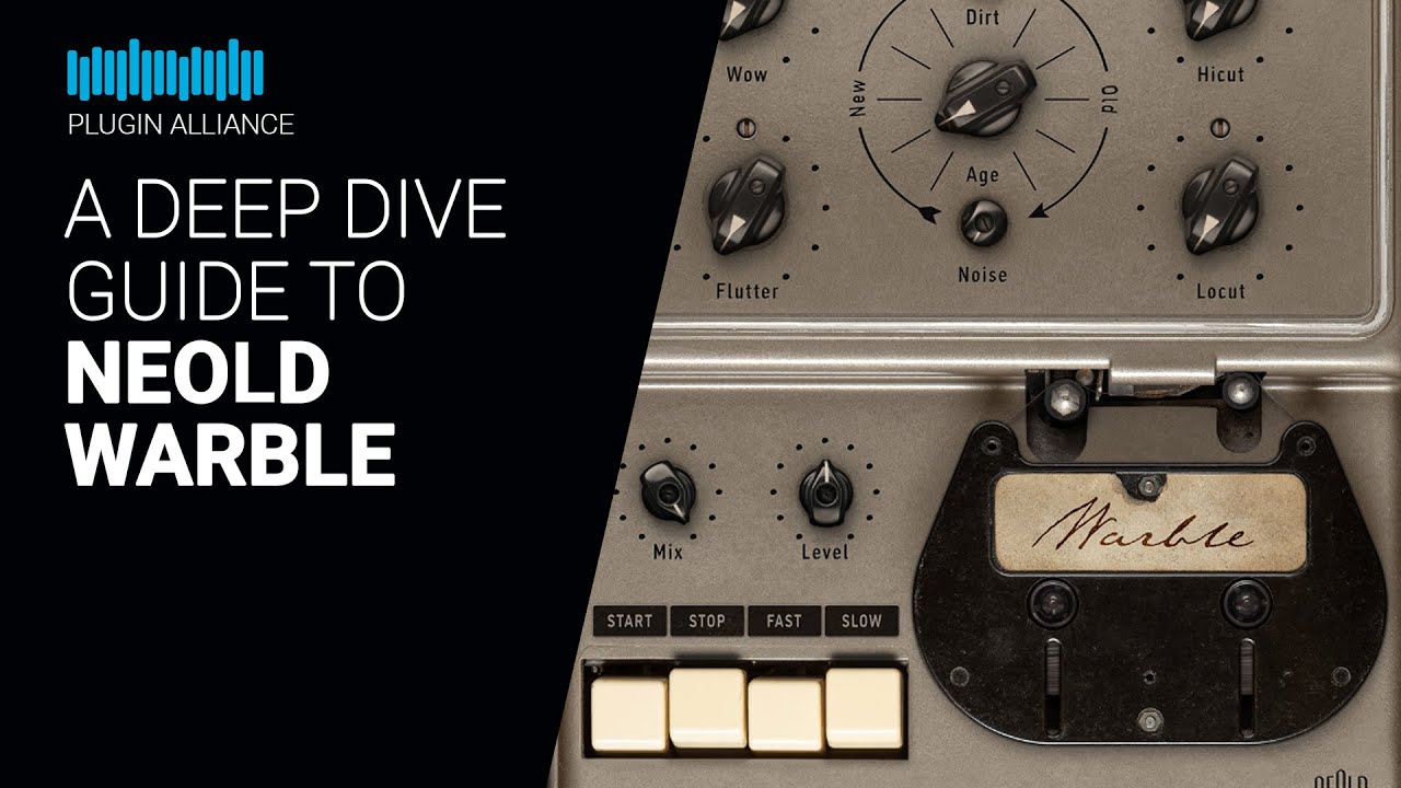 Video 5358de5e-2b8c-4a8a-8631-316f61cd57ac