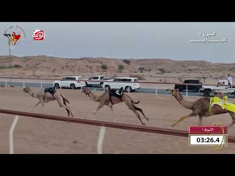 ش 1 (اصرار) لـ راشد سعيد محمد الكمده 8:02 , شارة الديوان 1 2026/09/20 حول زمول اللبسه  