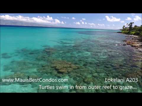 Lokelani A203 Beach Fly-over