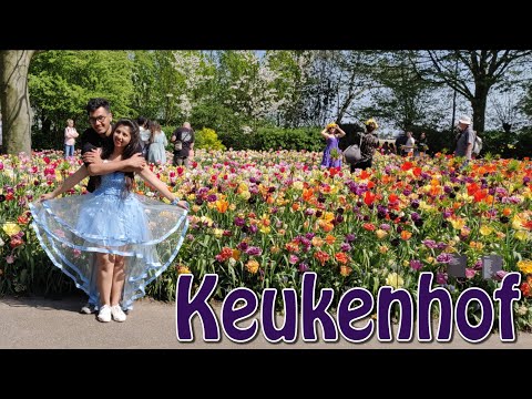 Keukenhof 2019 | Netherlands | World Famous Tulip Garden | Virtual Tour