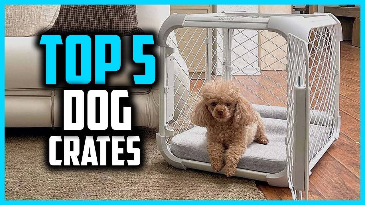 ✅ Top 5 Best Dog Crates of 2025