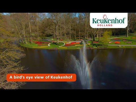 A bird’s eye view of Keukenhof | Keukenhof 2021🌷