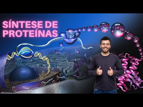 SÍNTESE DE PROTEÍNAS - Transcrição e Tradução (Análise de um vídeo didático)