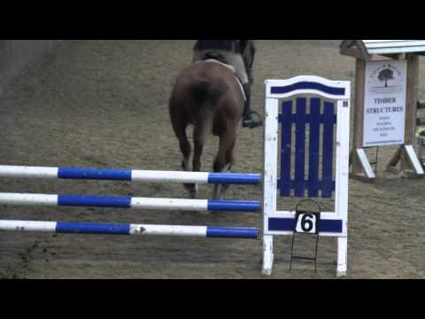 Kanndoo (2011) Mare x Kannan