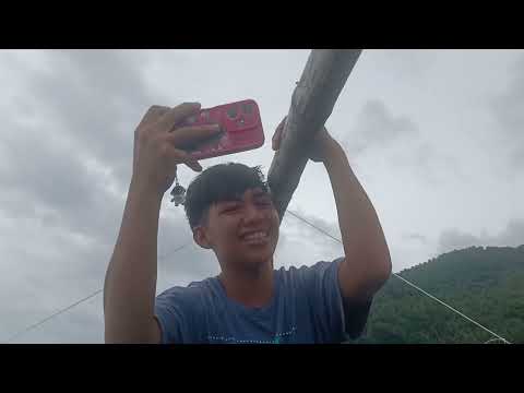 Viva la virgen Partido maangas presentacion