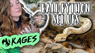Two Ball Pythons get New Enclosures! // Kages Ball Python PVC Set Ups