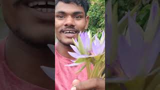 Download lagu YouTube video Sapna full πΌπΌ mp3 Download lagu YouTube video Sapna full πΌπΌ mp3