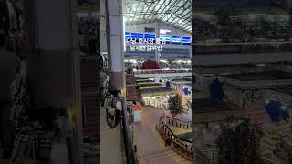 #야구심판 #여행 #베트남 #다낭 #한시장 경기도 다낭시 호이안 미케비치 핑크성당 6일 설날여행 남재현 알부…