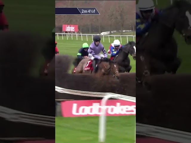 Thumbnail for Post ID: mIXo7pHvFcY