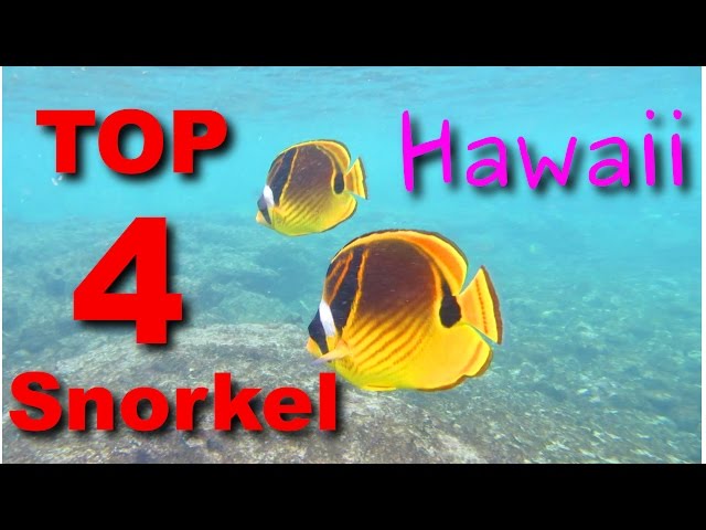 TOP 4 Places to SNORKEL in Hawaii