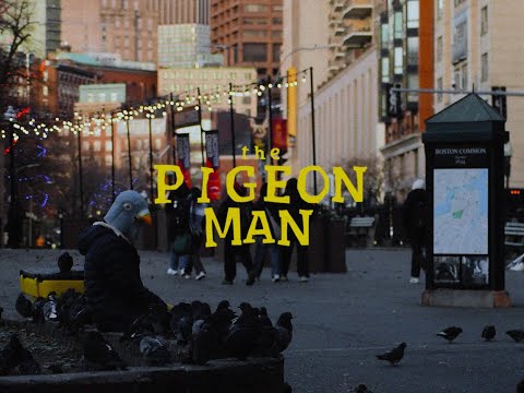 The Pigeon Man - Short Film