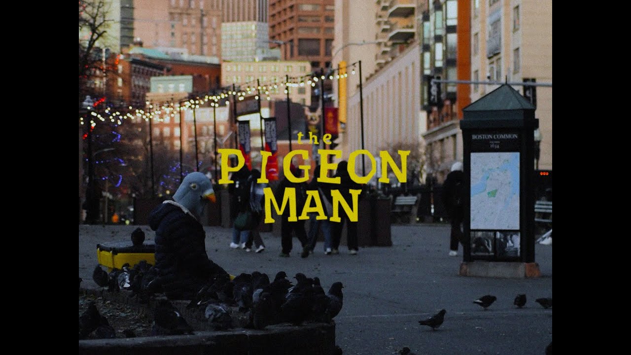The Pigeon Man - Short Film