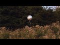 baseball by Hippo Campus