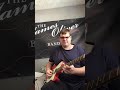 Ray campi tore up rock a billy guitar by James Oliver