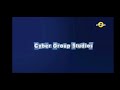Cyber Group Studios