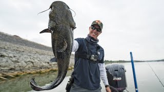 Huge Catfish! - Fishing Rocks with Diving Plugs